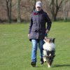 Begleithundeprüfung 08.04.2017