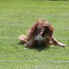 170610_Sommerfest