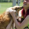 170610_Sommerfest