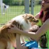 170610_Sommerfest